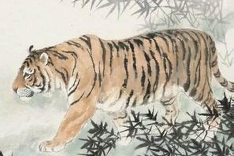 梦见儿子骑自行车摔伤了的预兆