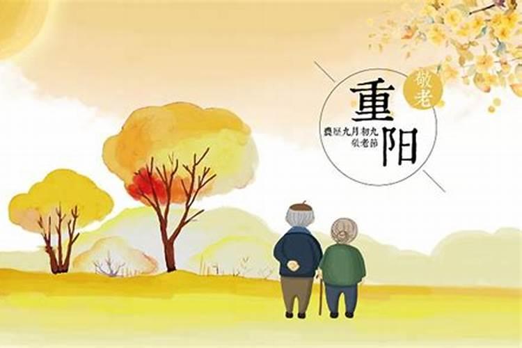 重阳节可以做什么？