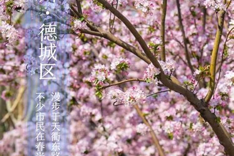 山东的清明节习俗