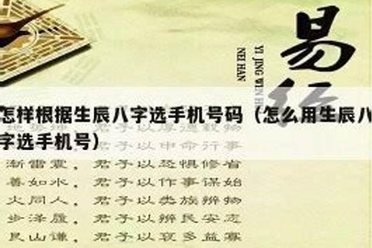 怎么根据五行八字选手机号