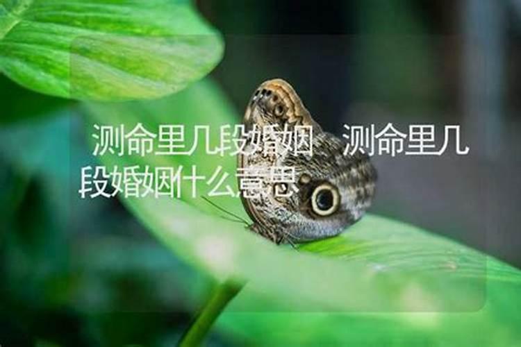 测命中结几次婚,测命里有几次婚姻
