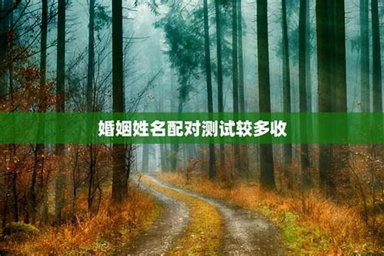 女人梦见自己骑电动车预示什么