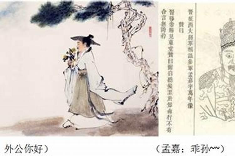 幼儿园端午节可以开展哪些活动