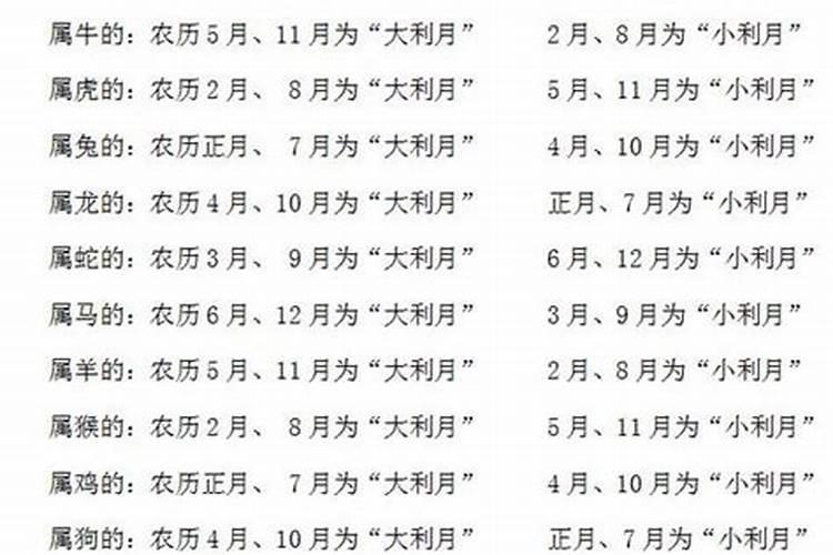 2004年阴历7月初三生的孩子什么命