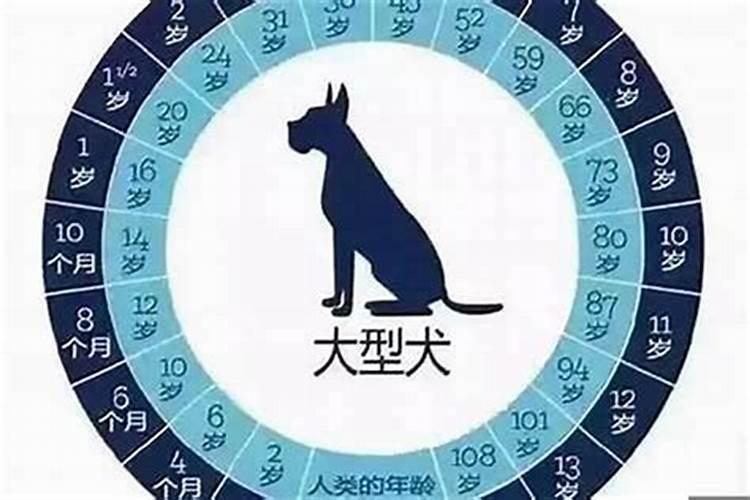 2024年属狗多大了虚岁 生肖狗一年十二个月的出生运程