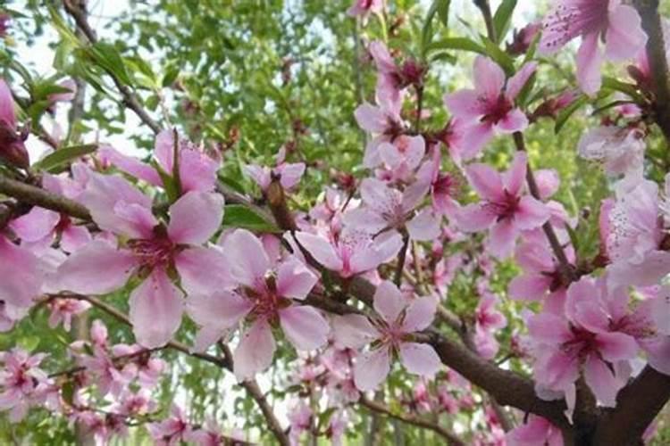 中秋节是阳历还是阴历？中秋节是八月十五吗？
