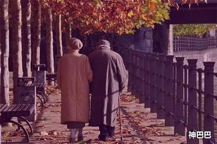 梦见朋友死了又活过来了的预兆