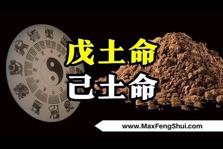 八字中的财库是什么？对命主的影响