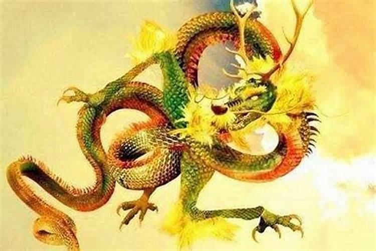 76年生肖龙每月的运气如何？