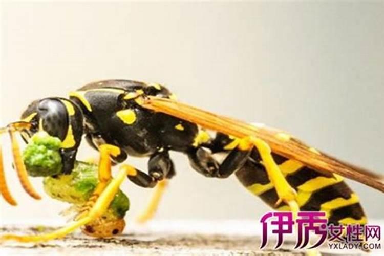 周公解梦梦见发大水是什么意思