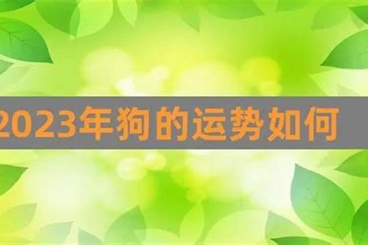 腊月间给老人上坟的最佳时间