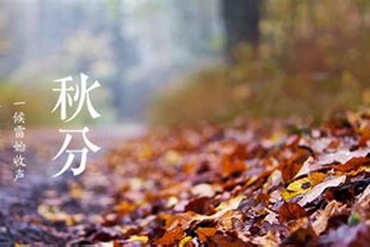属兔女本命年可以结婚吗有什么不好吗？