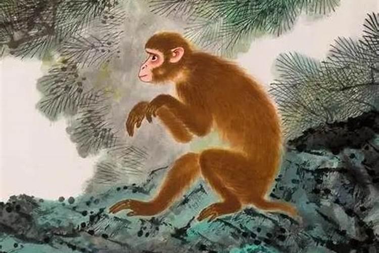 十神生克关系及其命理分析