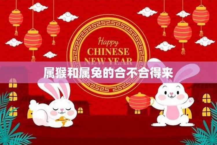 属兔和属猴的婚姻怎么样？八字合不合
