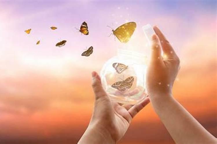 道教的最高追求是什么？道家的最高追求又是什么？