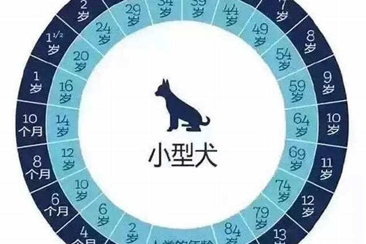 戊戌年本命年犯太岁该如何化解呢？