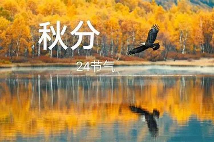 秋分节气的由来和风俗