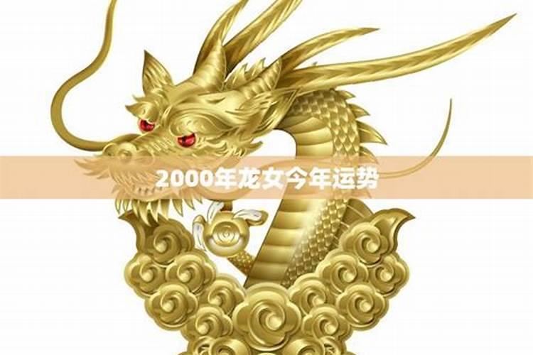 1987年属兔2025年的运势及运程如何