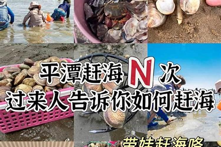 梦见赶海是什么意思？