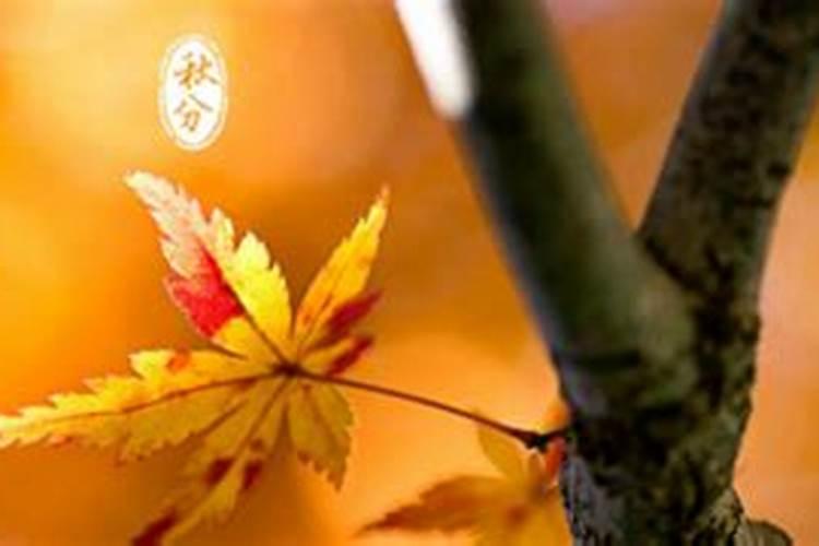 鬼节不能做的26件事 鬼节千万不能干的事