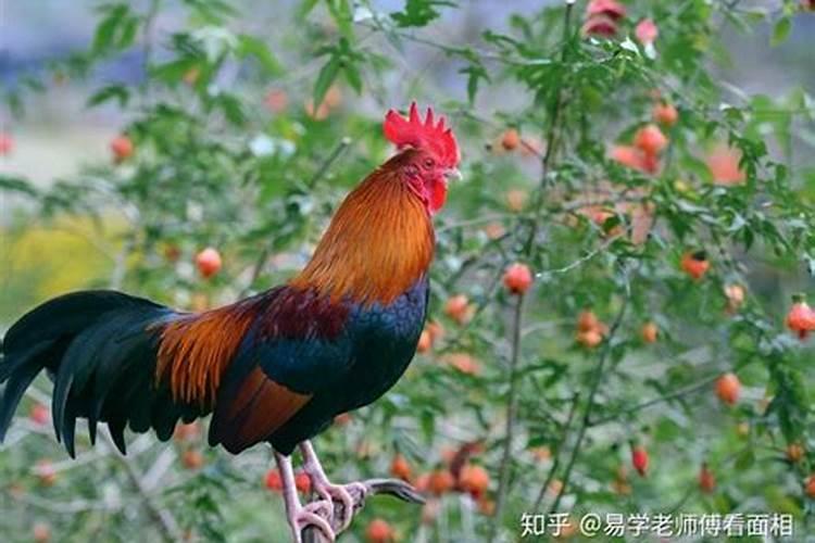 火气最旺的人是什么人呢