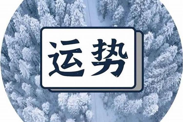 生肖蛇2025年运势及运程如何