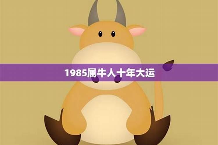 1996年属鼠2025年运势及运程