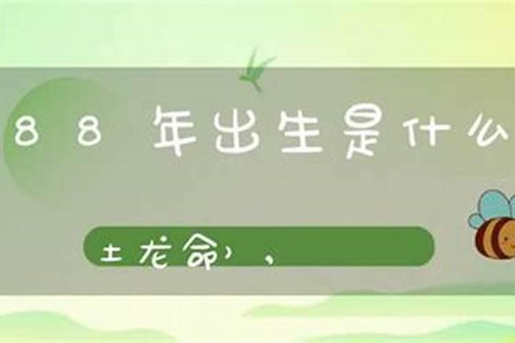八字排盘怎么看 八字排盘先看格局在看用神？