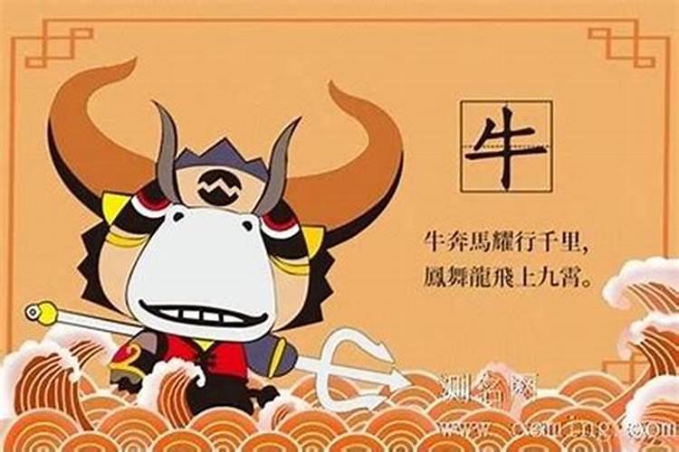 属牛腊月出生命运如何属牛腊月出生命运好吗