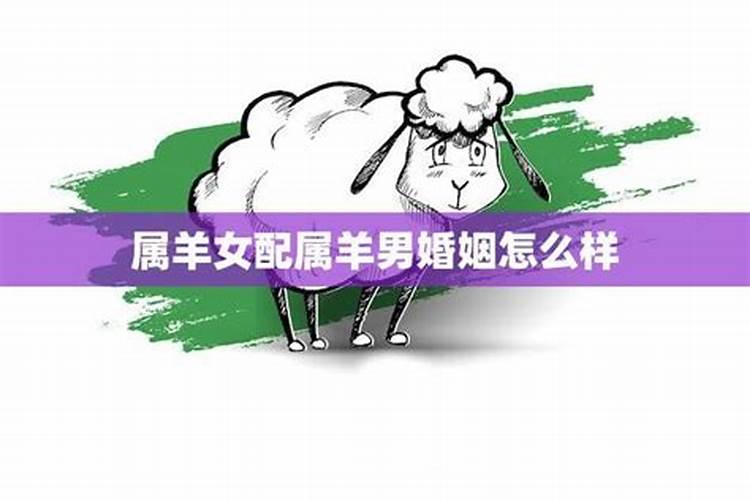 属羊人2024年感情状况 属羊人今年感情运势