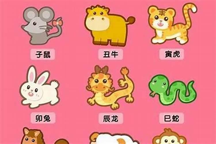 属猪2025年犯太岁怎么化解
