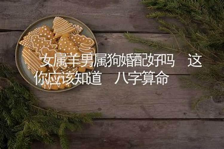 元亨利贞在线排盘使用指南
