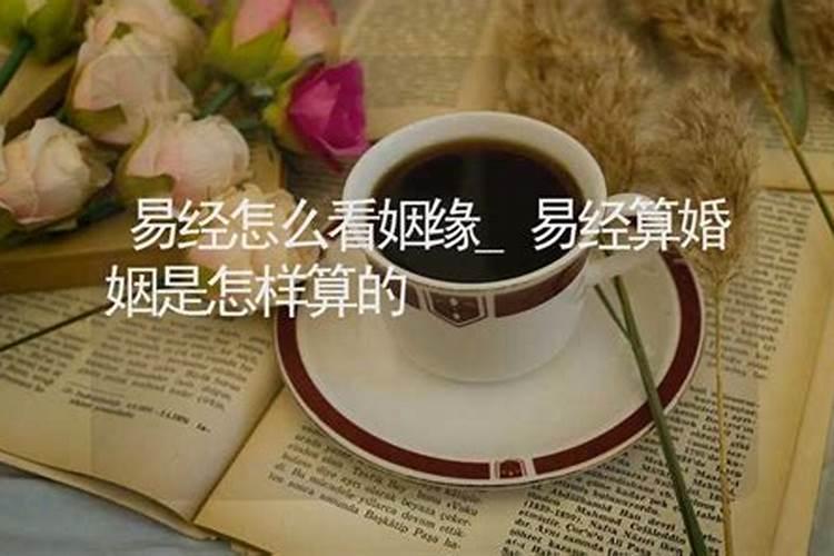 1974年属虎人2024年运势及运程每月详解