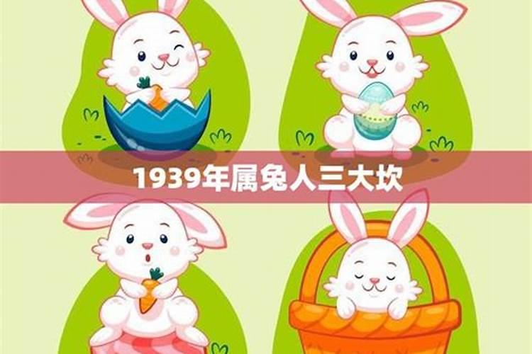 属兔今年多大年龄2023年兔年运势好不好