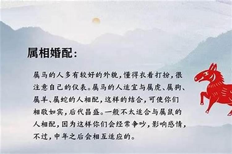 2002水马宜和什么生肖婚配,属马的和什么属相相配