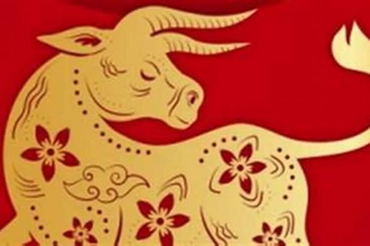 梦见自己呕吐想上厕所的预兆