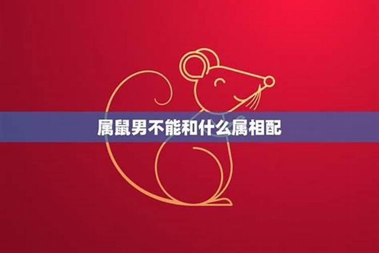 属鼠的和什么属相最配 属鼠的最佳配偶属相
