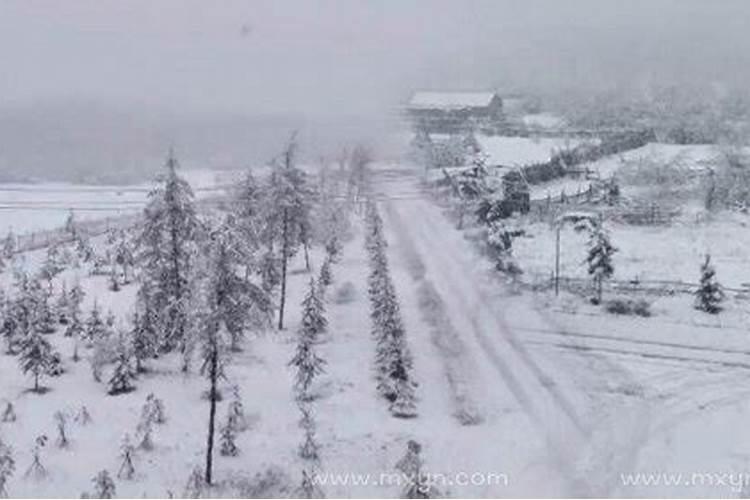 梦见白茫茫的雪什么意思？