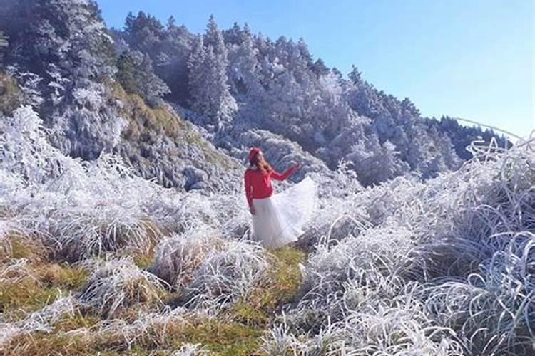 梦见雪地白茫茫一片什么预兆