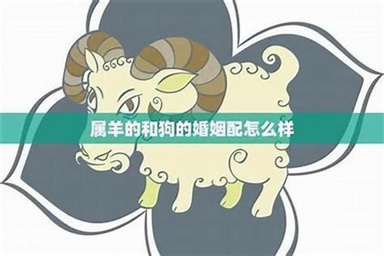 属马的人发展有利方位查询