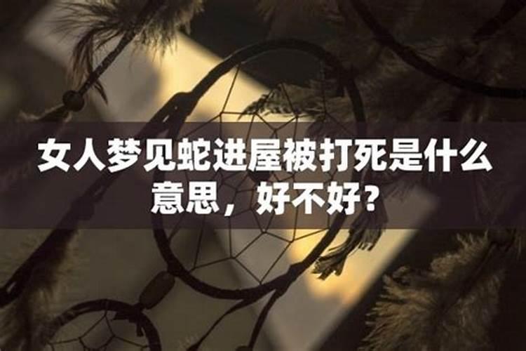 梦见小狗流了很多血的预兆