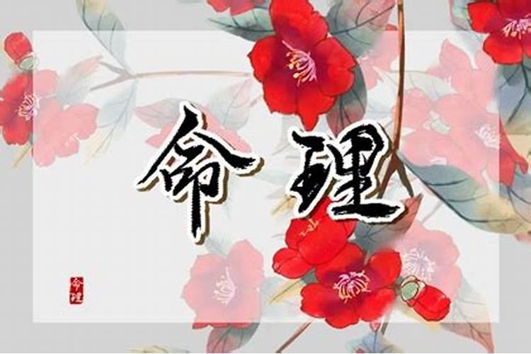乙亥的意思乙亥的意思是什么