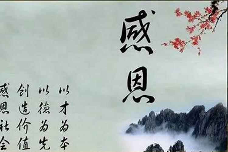 你如何看待母亲的做法？