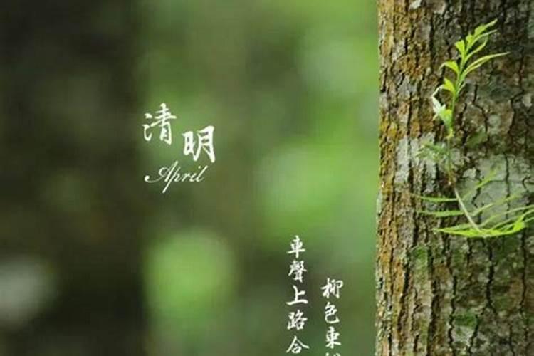 八字不知道具体时辰,如何推算