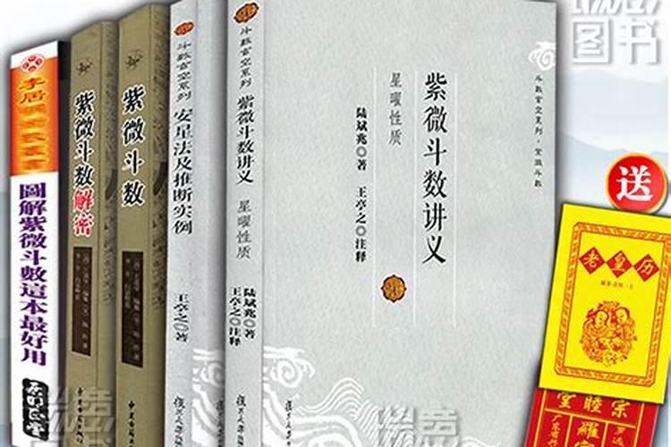 倪海厦紫微斗数排盘方式