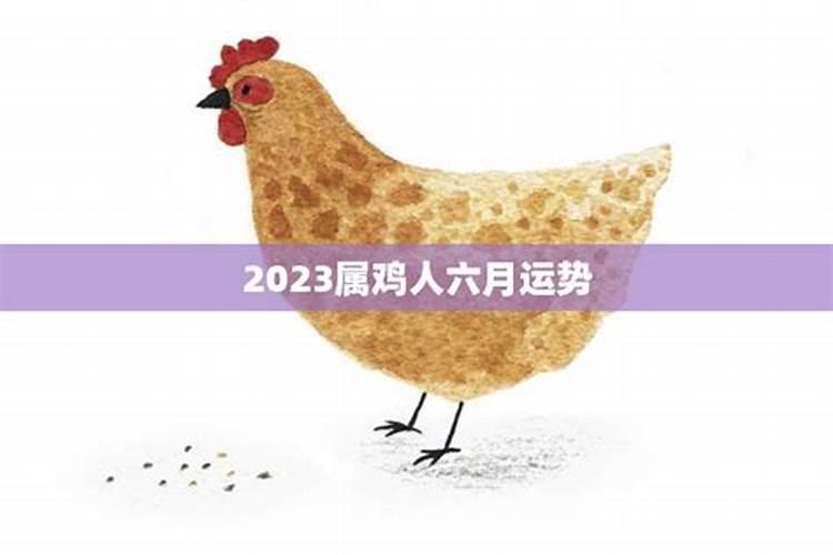 2022年肖鸡运势,1969年属鸡的每月运势