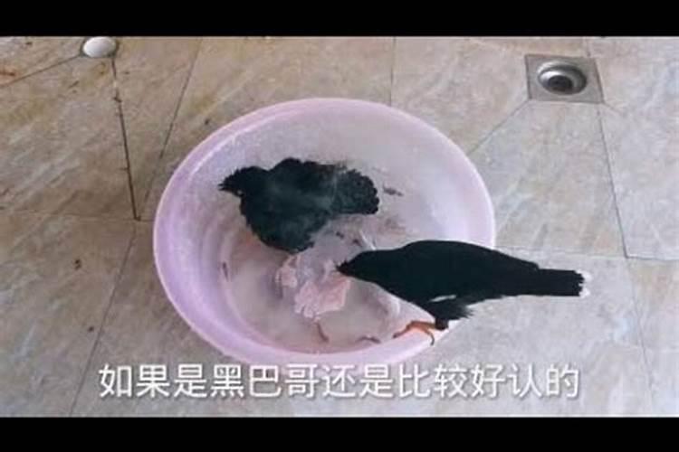 腊八节有哪些风俗？