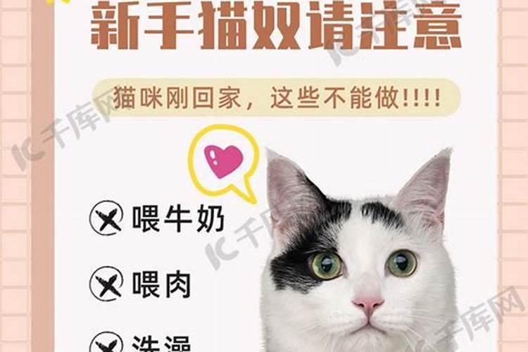 请问我的喜用神是什么,己巳年乙亥月己亥日戊辰时女？