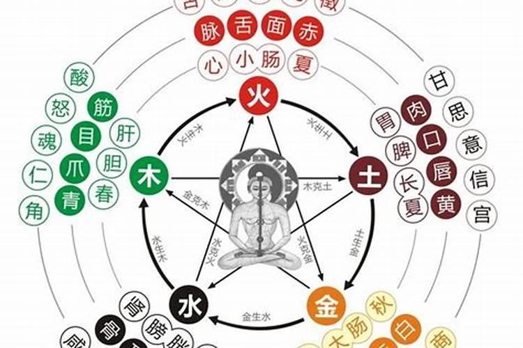 女子大林木命和什么命最配 选好未来婚配对象