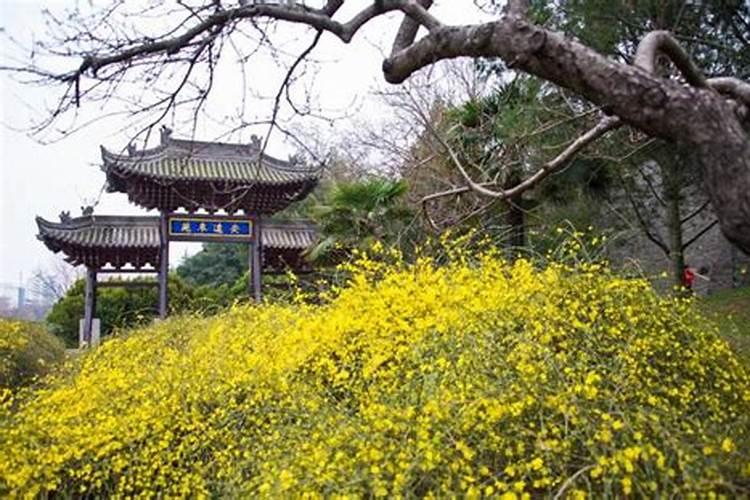 2024属羊人注定纠缠生肖 属羊注定的缘分是谁